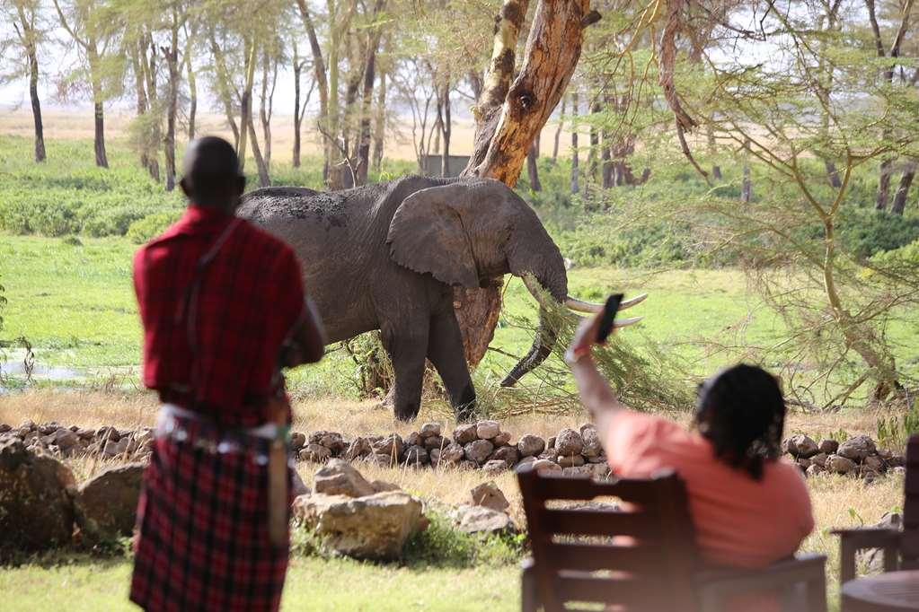 Amboseli Serena Safari Lodge Udogodnienia zdjęcie