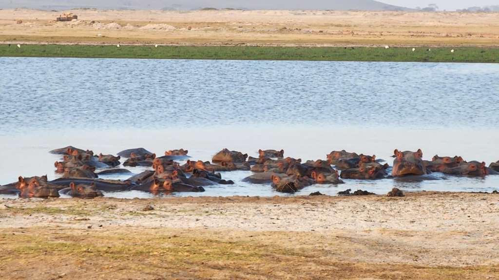 Amboseli Serena Safari Lodge Udogodnienia zdjęcie